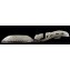 https://www.marchance-auctioneers.com/getimage/index/action/images/bgColor/0xffffff/width/374/height/374/name/546036330a655.jpg