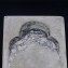 https://www.marchance-auctioneers.com/getimage/index/action/images/bgColor/0xffffff/width/374/height/374/name/58d61e8b9b0f4.jpg