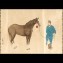 https://www.marchance-auctioneers.com/getimage/index/action/images/bgColor/0xffffff/width/374/height/374/name/58d63965e5b9d.jpg