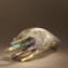 https://www.marchance-auctioneers.com/getimage/index/action/images/bgColor/0xffffff/width/374/height/374/name/58d868dfa1ed0.jpg