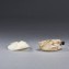 https://www.marchance-auctioneers.com/getimage/index/action/images/bgColor/0xffffff/width/374/height/374/name/58d872fcc16c1.jpg