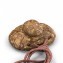 https://www.marchance-auctioneers.com/getimage/index/action/images/bgColor/0xffffff/width/374/height/374/name/58d8ce387c964.jpg
