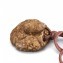 https://www.marchance-auctioneers.com/getimage/index/action/images/bgColor/0xffffff/width/374/height/374/name/58d8ce387cdfc.jpg