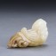 https://www.marchance-auctioneers.com/getimage/index/action/images/bgColor/0xffffff/width/374/height/374/name/58d8cf46c18db.jpg