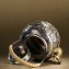https://www.marchance-auctioneers.com/getimage/index/action/images/bgColor/0xffffff/width/374/height/374/name/58d8d6b952e12.jpg
