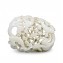https://www.marchance-auctioneers.com/getimage/index/action/images/bgColor/0xffffff/width/374/height/374/name/5915941ae94c2.jpg