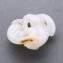 https://www.marchance-auctioneers.com/getimage/index/action/images/bgColor/0xffffff/width/374/height/374/name/59bb3f670d673.jpg
