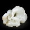 https://www.marchance-auctioneers.com/getimage/index/action/images/bgColor/0xffffff/width/374/height/374/name/59bb41258c8ea.jpg