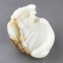 https://www.marchance-auctioneers.com/getimage/index/action/images/bgColor/0xffffff/width/374/height/374/name/59bb426a06ab4.jpg