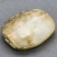 https://www.marchance-auctioneers.com/getimage/index/action/images/bgColor/0xffffff/width/374/height/374/name/5a03bb763abdc.jpg